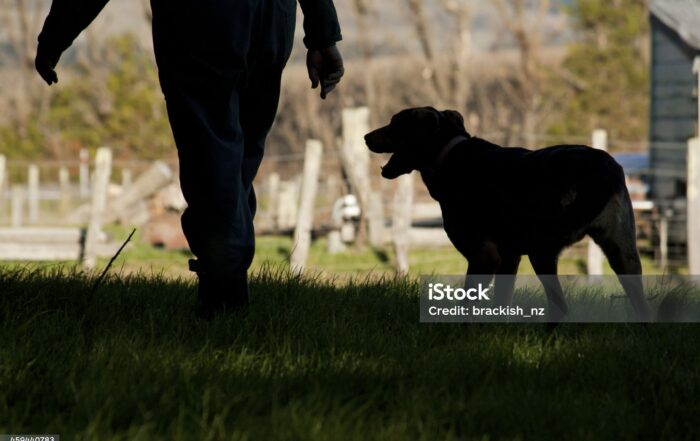 Support our farmers who are the key drivers or our economy