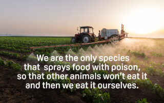 Limit-remove toxic sprays on all food products