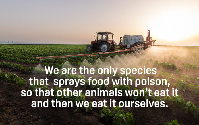 Limit-remove toxic sprays on all food products