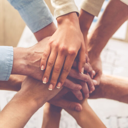 MNZHA working together to Make NZ Healthy Again