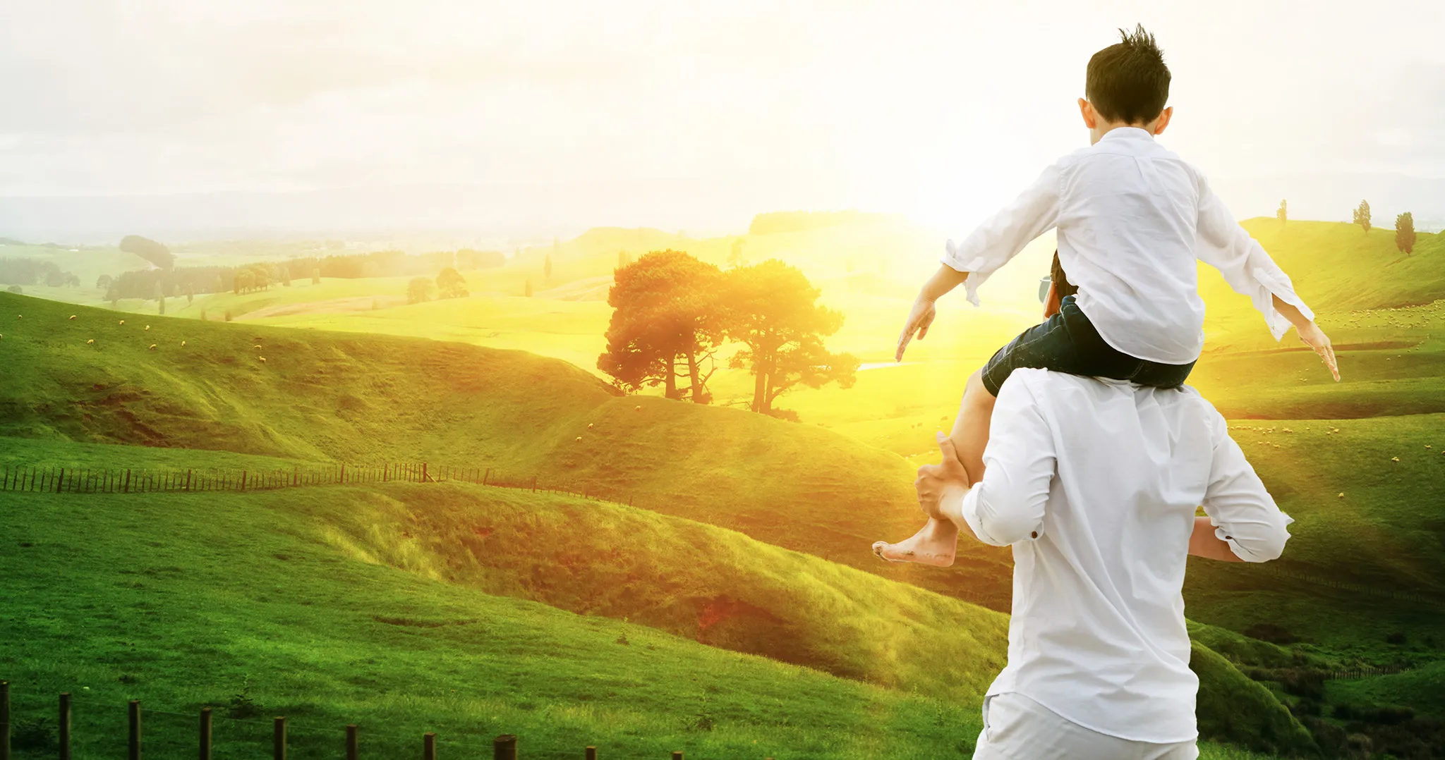 Make NZ Healthy Again - MNZHA