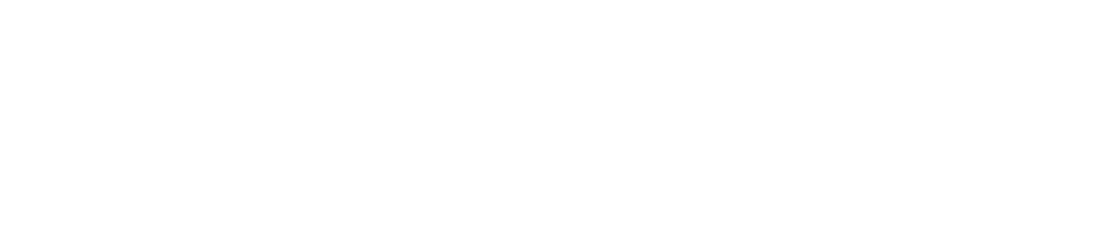 Make New Zealand Healthy Logo