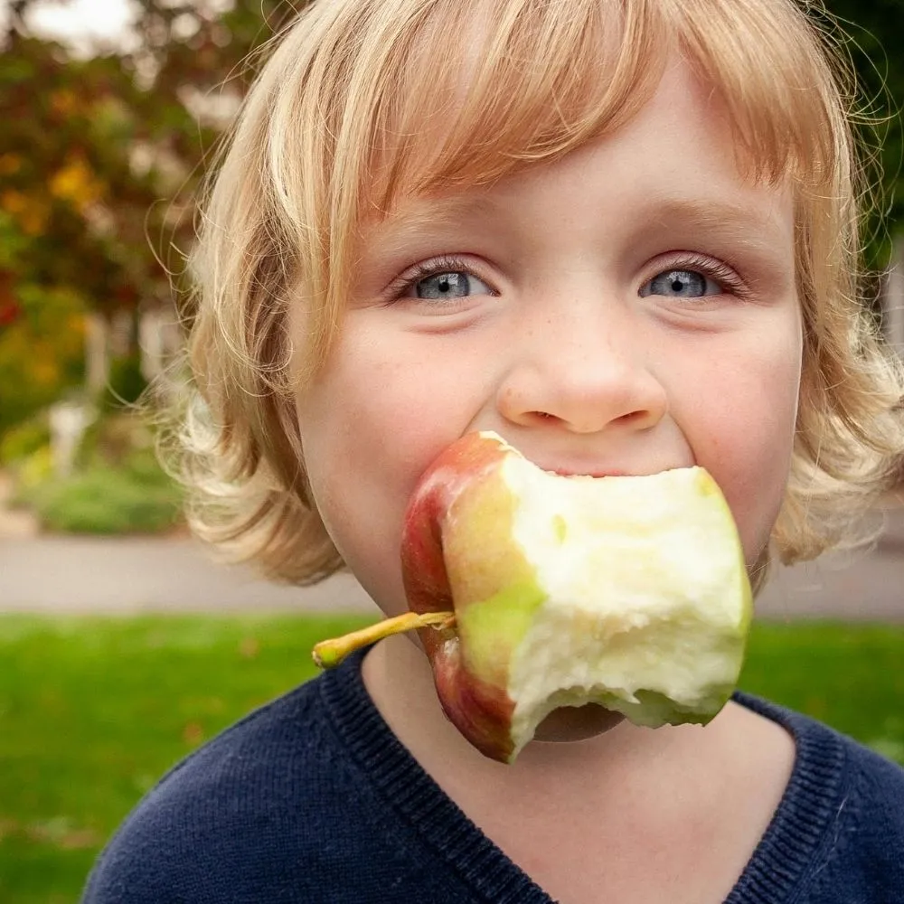 mission-make-new-zealand-healthy